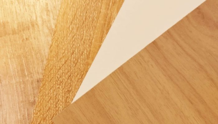 WhatsApp Image 2025-02-24 at 5.14.55 PM