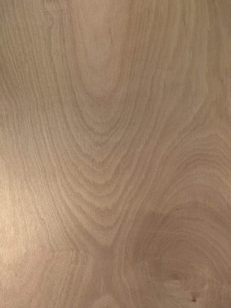 WhatsApp Image 2025-03-05 at 10.21.28 AM